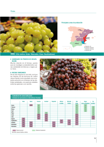 Frutas Principales zonas de producción UVAS