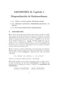 GEOMETR´IA II: Cap´ıtulo 1 Diagonalización de Endomorfismos