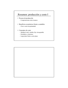 Resumen: producción y coste I