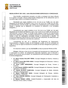 RESOLUCIÓN Nº 255 / 2015, sobre DELEGACIONES ESPECIALES