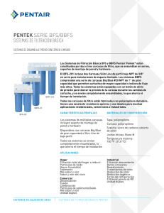pentek serie bfs/bbfs sistemas de filtración básica