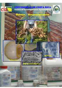 Boletín: Biocontroladores - Centro de Investigaciones Agronómicas