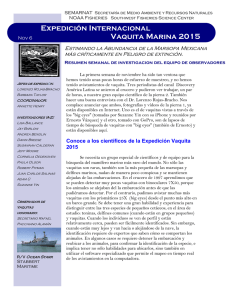 Expedición Internacional Vaquita Marina 2015