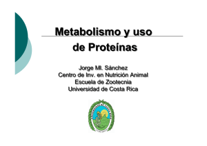 Metabolismo y uso de Proteínas Metabolismo y uso de