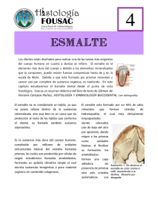 esmalte - Apoyo para la Fac. de Odontología – USAC