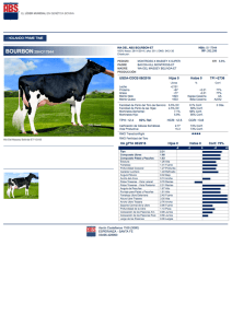 Page 1 S EL LIDERMUNDIALEN GENETICA BOVINA : HOLAMDO