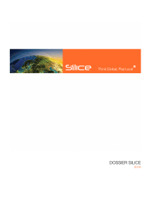 DOSSIER SILICE