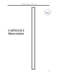 CAPITULO 2. Marco teórico