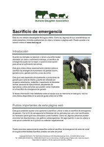 Sacrificio de emergencia - Humane Slaughter Association