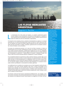 las flotas mercantes argentinas