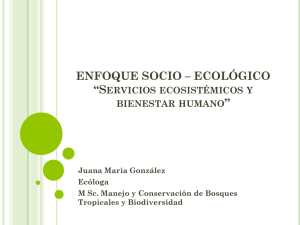 ENFOQUE SOCIO – ECOLÓGICO “Servicios ecosistémicos y