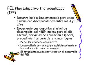 PEI Plan Educativo Individualizado (IEP)