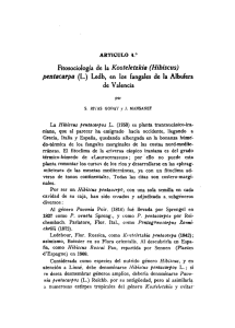 Fitosociología de la Kosteletzkia (Hibiscus) pentacarpa (L.) Ledb, en