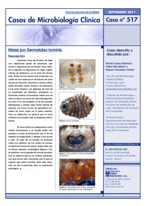 Miasis por Dermatobia hominis (PDF Available)