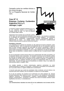 Caso Nº 8: Empresa Curtarsa Curtiembre Argentina S.A.I.y C