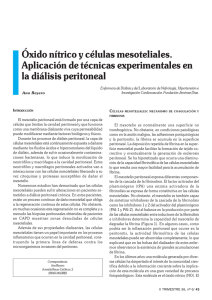 Óxido nítrico y células mesoteliales. Aplicación de