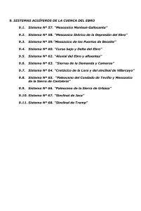 9. Sistemas Acuíferos de la Cuenca del Ebro