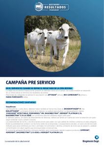 Orig Informe campaña pre servicio-Paraguay