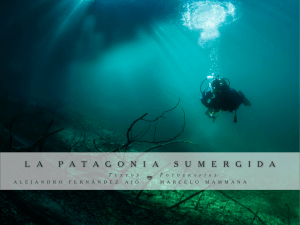 La Patagonia Sumergida - Arum