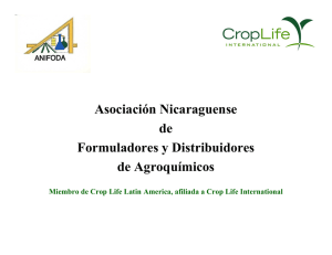 Asociación Nicaraguense de F l d Di ib id Formuladores y