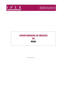 India Oportunidades de Negocio 2013