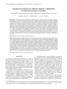 Identificación molecular de califóridos (Diptera: Calliphoridae) de