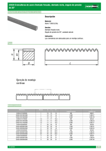 22420 Cremalleras de acero Dentado fresado, dentado recto