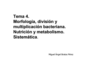 Tema 4. Morfología, división y multiplicación bacteriana. Nutrición y