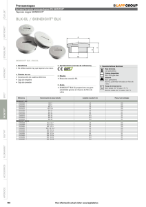 Tapones ciegos SKINDICHT