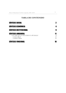 TABLA DE CONTENIDO SÍNTESIS SOCIAL 2 SÍNTESIS