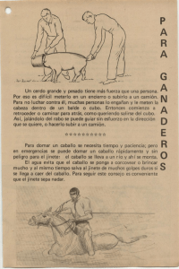 Un cerdo grande y pesado tiene más fuerza que una persona. Por