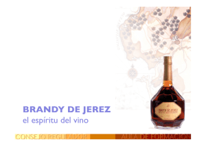 Introducción al Brandy en Español