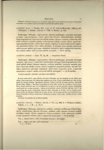 LACHNOPUS ARGUS. — Reiche, Rev. zoo/, de M. Guérin