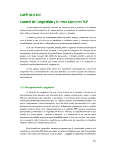 CAPÍTULO XIII Control de Congestión y Nuevas Opciones TCP