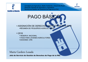 pago básico 2016 - marta cardero