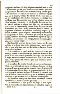 mas pronto su fruto, y la hoja adquiere suavidad para la seda. El