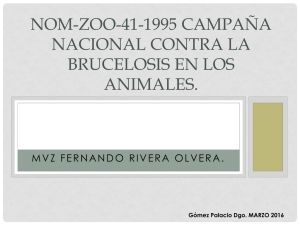 NOM-ZOO-41-1995 Campaña Nacional contra la brucelosis EN