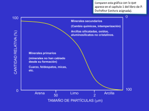 TAMAÑO DE PARTÍCULAS (μm) CANT IDAD RELA T IV A (%) 0 0