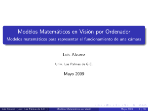 Modclos Matembticos en Visien por Ordenador