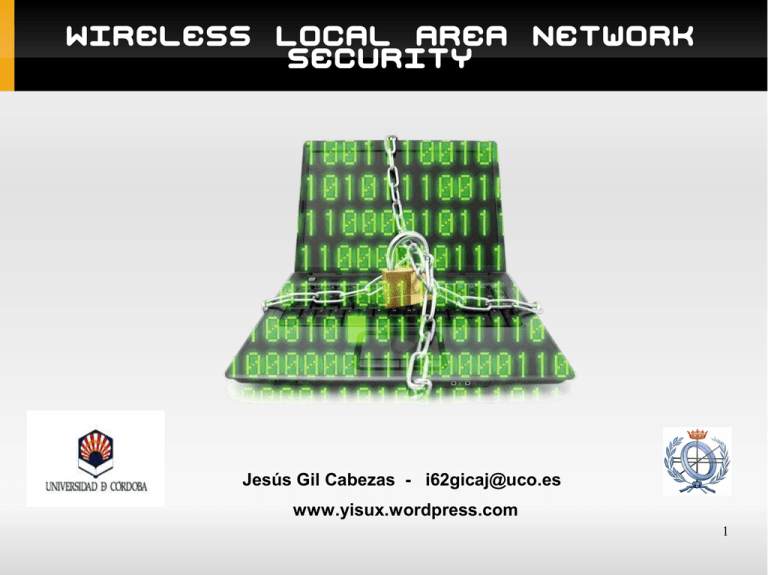 Wireless Local Area Network Security