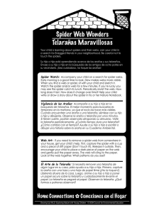 Spider Web Wonders Telarañas Maravillosas