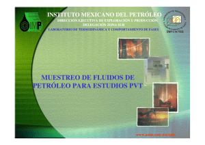 instituto mexicano del petróleo