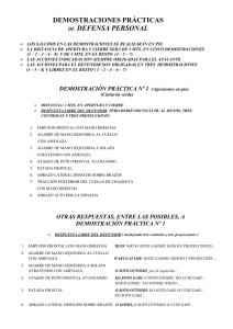 Demostraciones Pr&aacute;cticas en Defensa Personal (Documentaci&oacute;n)