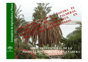 prevención y lucha contra el picudo rojo de las palmeras