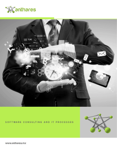 SOFTWARE CONSULTING AND IT PROCESSES