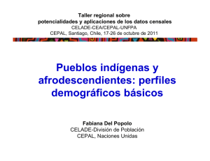 Pueblos indígenas y afrodescendientes: perfiles demográficos básicos
