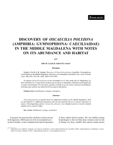 discovery of oscaecilia polyzona