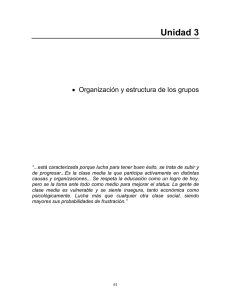 Organización y Estructura de los grupos