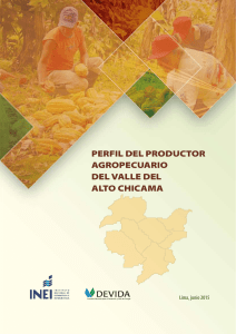 Perfil del Productor Agropecuario del Valle Alto Chicama