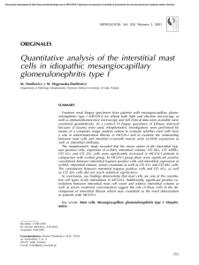 Quantitative analysis of the interstitial mast cells in idiopathic